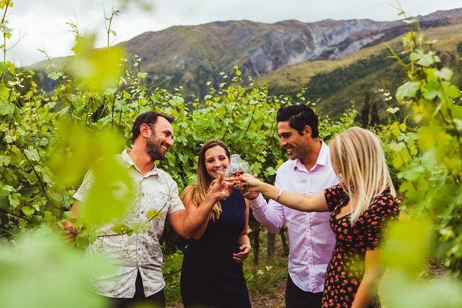 Award Winning Premium Wine Tour Queenstown Tasting at 4 Wineries - Key things to know before you go