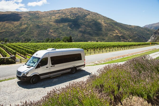 Award Winning Premium Wine Tour Queenstown Tasting at 4 Wineries - Stop 2: Kinross Winery, Cellar Door & Cottages (and the midday rhythm)