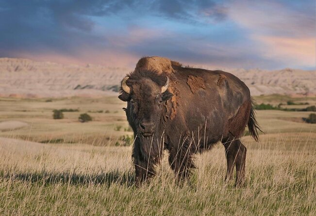 Badlands Premium Hard Top Van Tour - Private - Key Points I’d Use to Plan Your Day