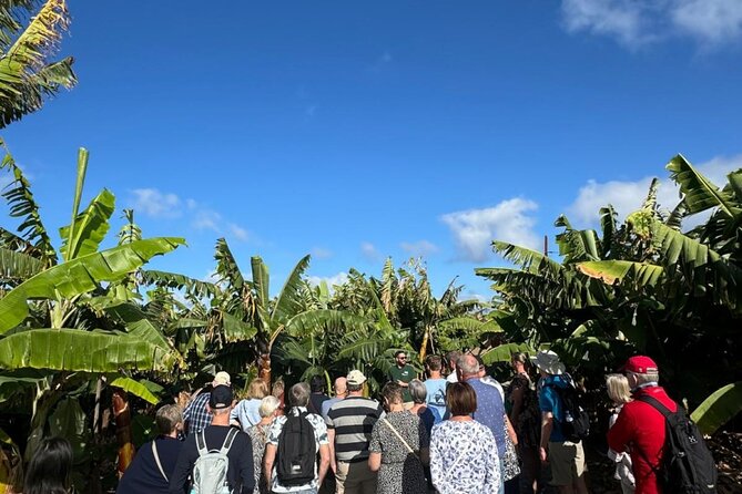 Banana Museum, Rum Distillery & Winery with Tasting: Premium tour - Price and logistics: what you’re really paying for
