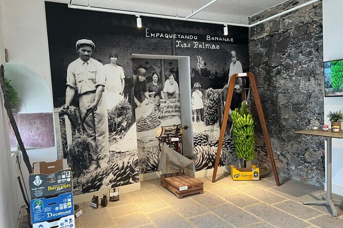 Banana Museum, Rum Distillery & Winery with Tasting: Premium tour - Group pace and the bus ride reality check