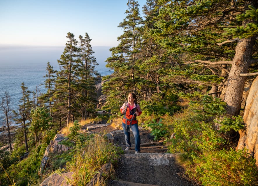 Bar Harbor Premium Driving Tour With Thunder Hole & Acadia - Price and value: what $159 buys you (and what it avoids)