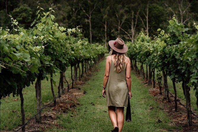 Barefoot Luxury Mount Tamborine Winery Tour from Brisbane - Key highlights at a glance