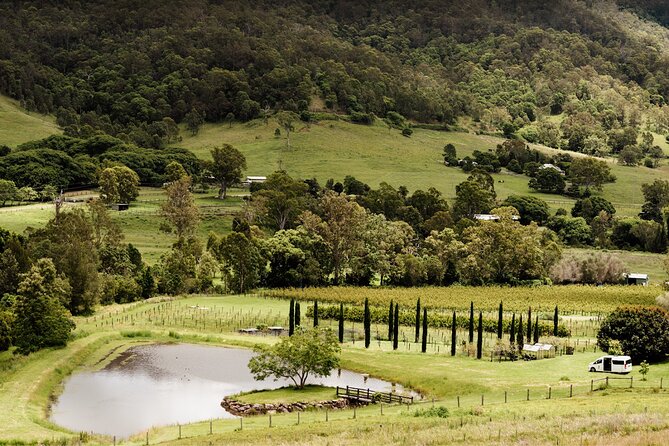 Barefoot Luxury Mount Tamborine Winery Tour from Brisbane - From Brisbane to Mount Tamborine: the easy-flow day plan