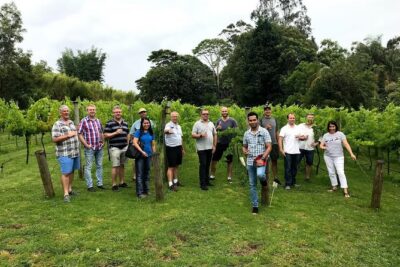 Barefoot Luxury Mount Tamborine Winery Tour from Brisbane - The Queensland national park stop: why it’s worth your attention