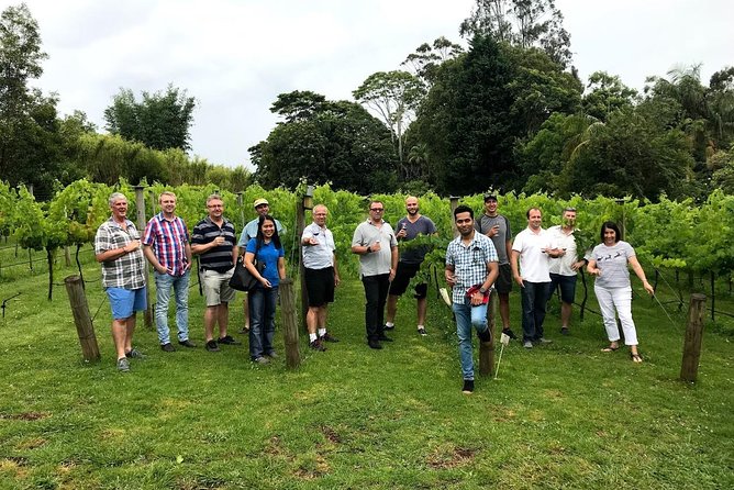 Barefoot Luxury Mount Tamborine Winery Tour from Brisbane - The Queensland national park stop: why it’s worth your attention