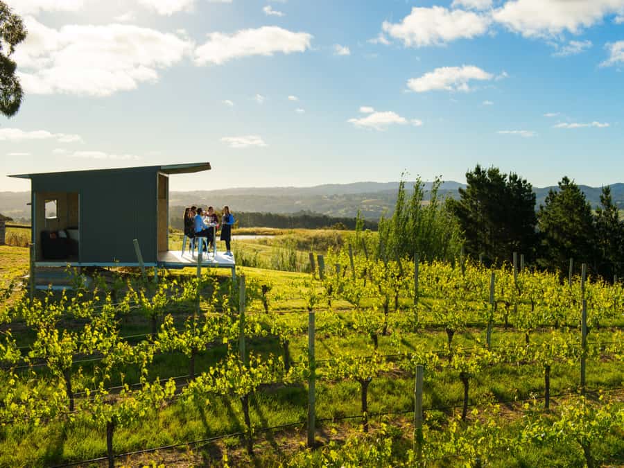 Barossa Wine Tour: Small Group 8 max, Rare, Unique, Premium - Max 8 guests means your day isn’t split up
