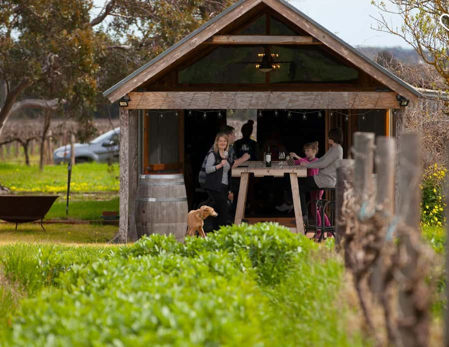 Barossa Wine Tour: Small Group 8 max, Rare, Unique, Premium - Door-to-door pickup: no meeting-point scramble