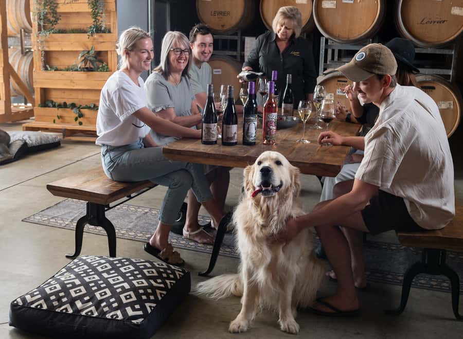 Barossa Wine Tour: Small Group 8 max, Rare, Unique, Premium - The day’s pacing: how 7.5 hours actually feels