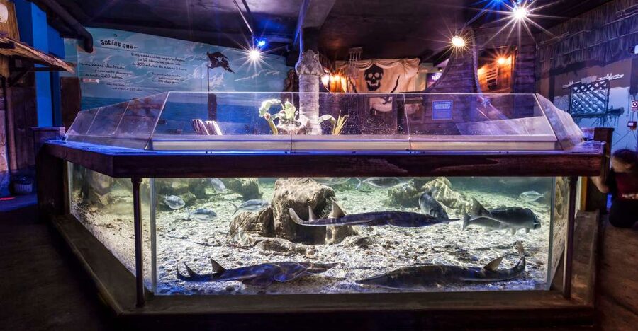 Benalmádena: Sea Life Benalmádena Premium Entry Ticket - Where this fits on the Costa del Sol (and why that matters)