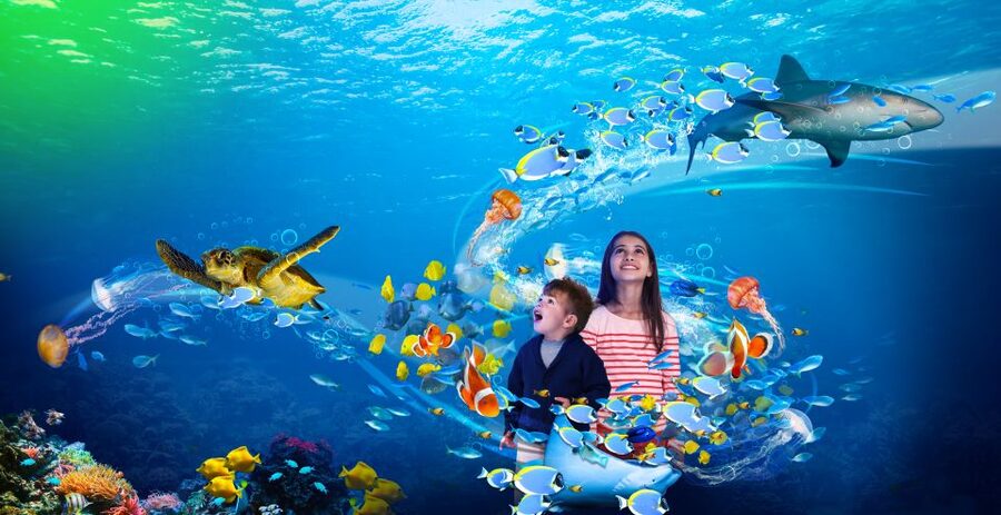 Benalmádena: Sea Life Benalmádena Premium Entry Ticket - Feeds, quiz trails, and fun talks keep it lively