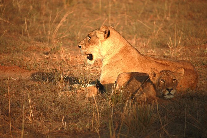 Big Five Luxury Safari in Tanzania - Lake Manyara’s late-afternoon game drive and Rift Valley views