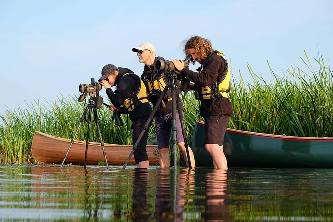 BIRDWATCH - Premium guided canoe tour at Cape Vente, Nemunas Delta Regional Park - Why a guided canoe works so well at Cape Venté