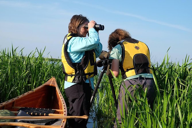BIRDWATCH - Premium guided canoe tour at Cape Vente, Nemunas Delta Regional Park - Morning start: briefing, marina practice, and paddling basics