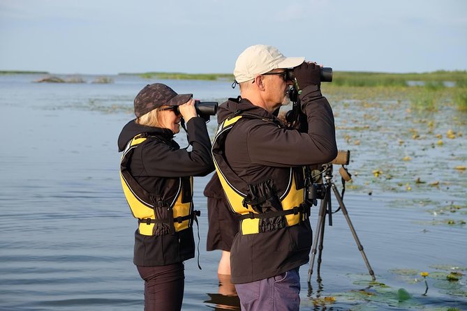 BIRDWATCH - Premium guided canoe tour at Cape Vente, Nemunas Delta Regional Park - Wildlife chances and spotting strategy: what to focus on