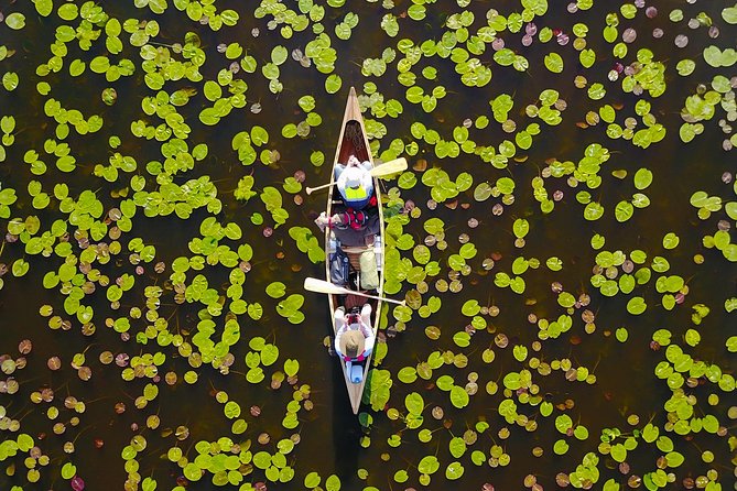 BIRDWATCH - Premium guided canoe tour at Cape Vente, Nemunas Delta Regional Park - Price and value for $159.03 per person