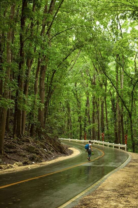 Bohol: Premium Chocolate Hills, Tarsiers & River Experience - Entering Chocolate Hills: Photos, Context, and the Right Viewpoint