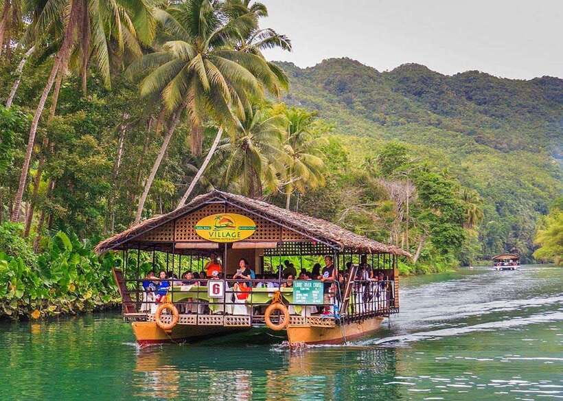 Bohol: Premium Chocolate Hills, Tarsiers & River Experience - Mahogany Man-Made Forest Stop: A Break That Doesn’t Feel Random