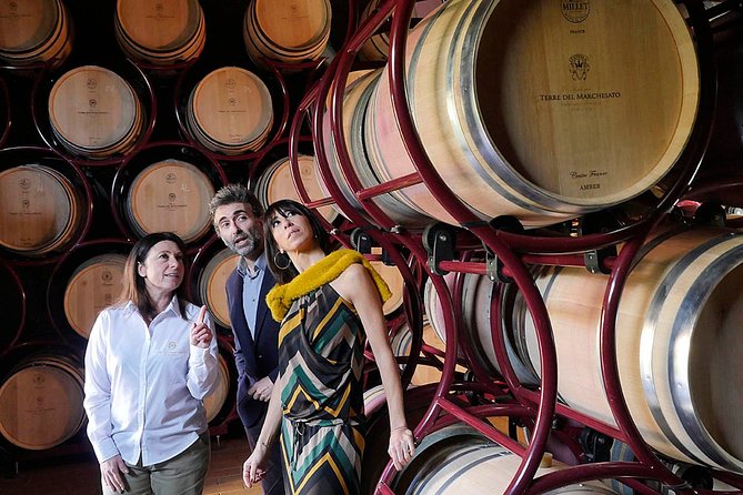 Bolgheri: Premium Wine Tasting with Winery Tour - Key things to know before you go