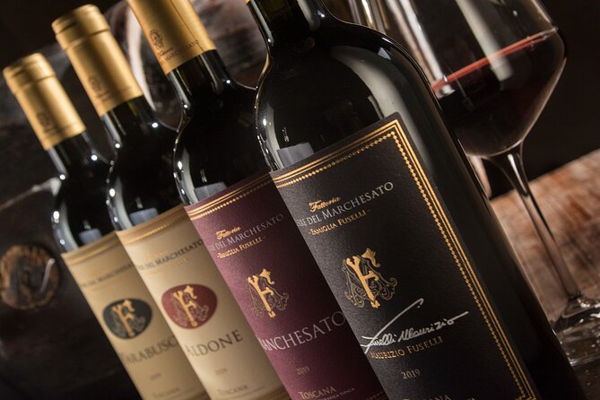Bolgheri: Premium Wine Tasting with Winery Tour - The vineyard walk: Bolgheri philosophy starts before you taste
