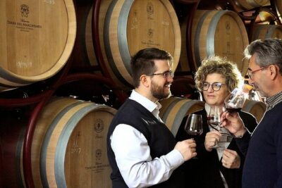 Bolgheri: Premium Wine Tasting with Winery Tour - Where you meet and how to fit it into your day in Livorno/Bolgheri area