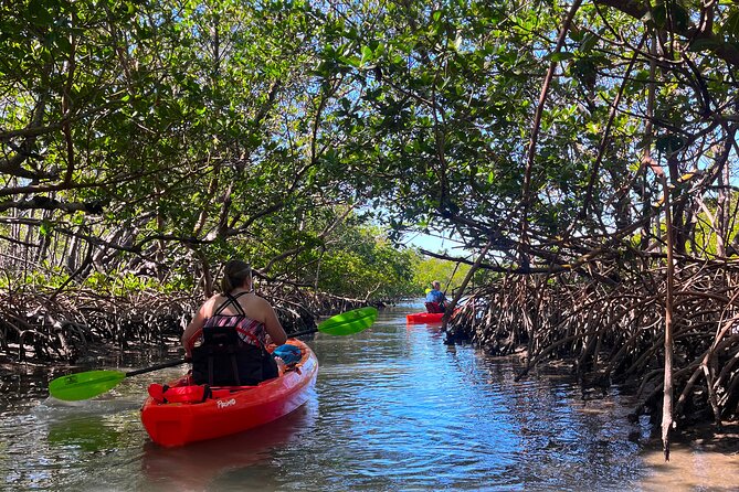 Bonita Springs Eco Kayak Tour – Best Gear, Premium&Clear Kayaks - Key highlights