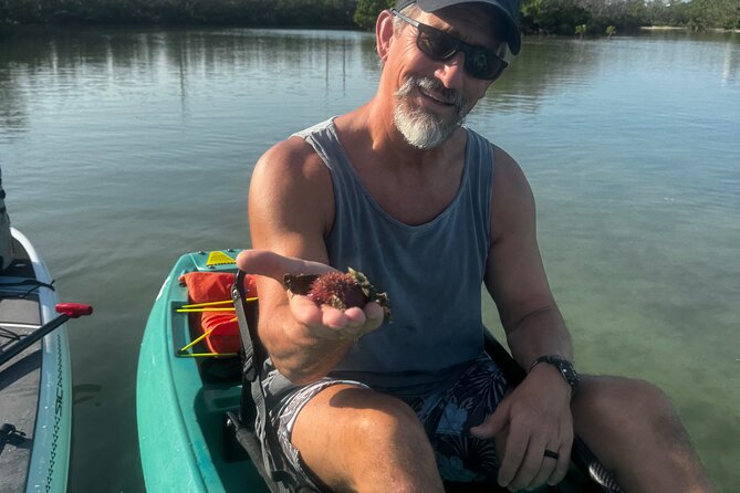 Bonita Springs Eco Kayak Tour – Best Gear, Premium&Clear Kayaks - Big Hickory Island: Why this route feels like Southwest Florida at its best