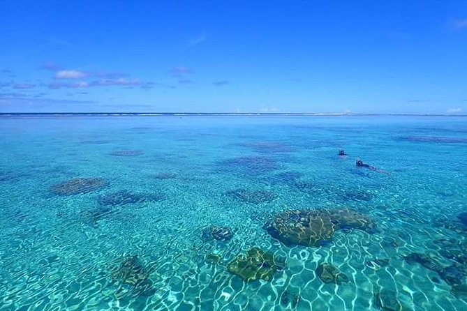 Bora Bora: Luxury Private Half Day Snorkeling Tour - A private Four Winns 220 lagoon cruise (3.5 hours) that keeps things easy