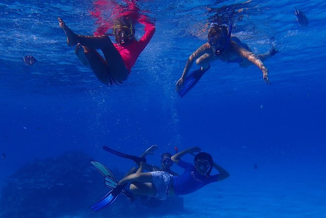 Bora Bora: Luxury Private Half Day Snorkeling Tour - Entering the water: ladder access and how to set yourself up