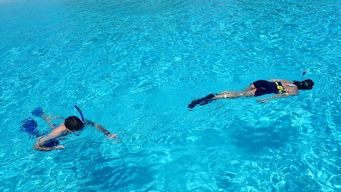Bora Bora: Luxury Private Half Day Snorkeling Tour - Who this tour suits best (and who should think twice)