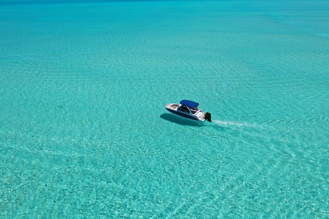 Bora Bora: Luxury Private Half Day Snorkeling Tour - Price and value: $780 per group for a private boat, guide, and swim planning