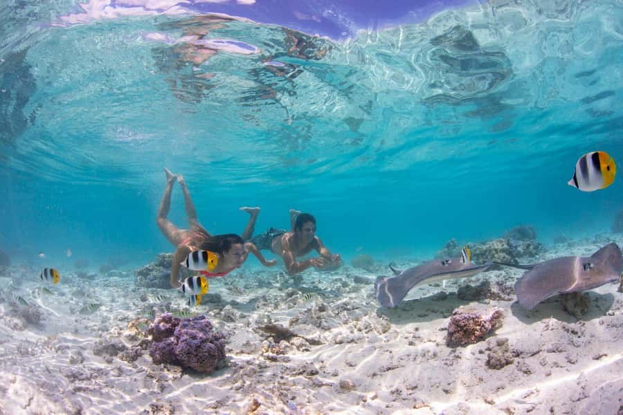 Bora Bora Luxury Tour and Beach Picnic - The lagoon-and-motu format that makes Bora Bora feel personal