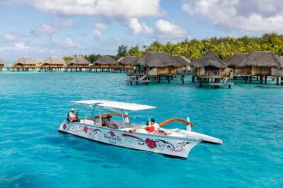 Bora Bora Luxury Tour and Beach Picnic - Boat cruise + snorkeling: reef life, sharks, and ray sightings (without the chaos)