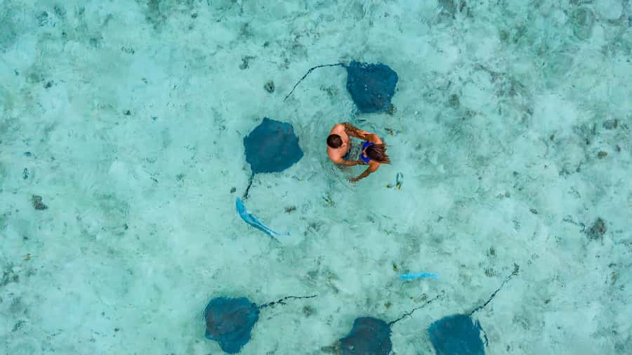 Bora Bora Luxury Tour and Beach Picnic - Who this tour fits best (and who should skip it)
