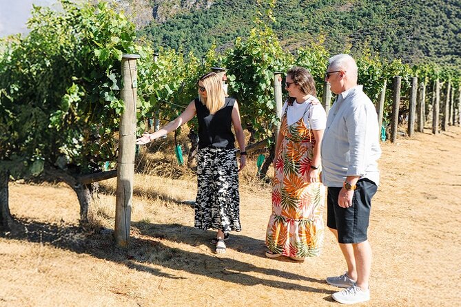 Boutique Wine Tour - visit Central Otago, 4 Wineries & Lunch - Gibbston cellar doors: your first tasting and your final pour