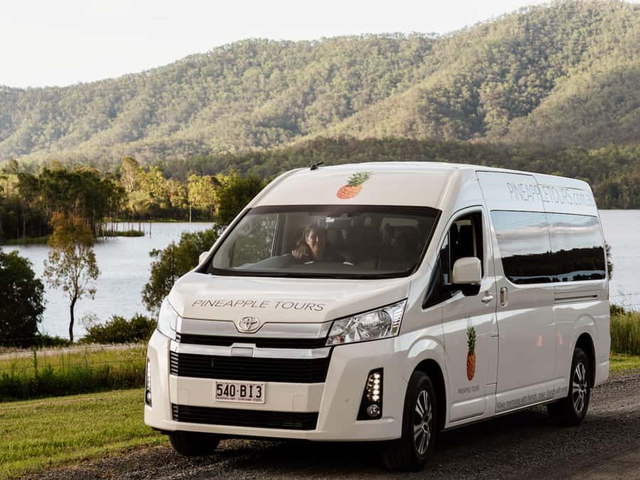 Brisbane: Boutique Winery Tour with Gourmet Lunch - Group Size, Guides, and the Real Pace of the Day