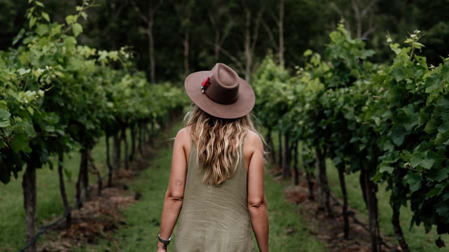 Brisbane: Boutique Winery Tour with Gourmet Lunch - Price and Comfort: The A/C Minibus Factor