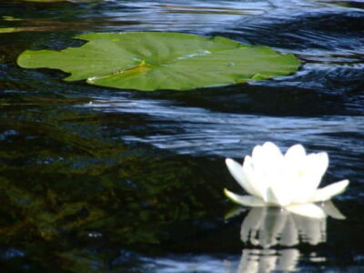 Bucharest: Day Trip to Danube Delta Small Group Premium Tour - Bucharest to Tulcea: what you gain from the coach ride