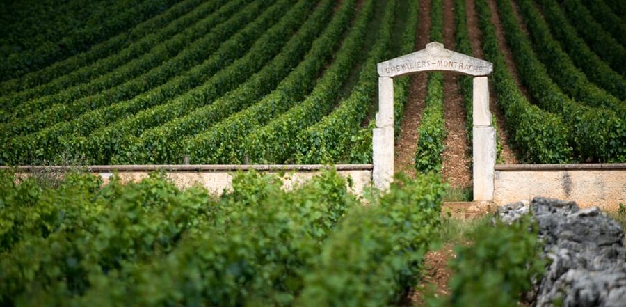 Burgundy Vineyards: Luxury Private Tours - Côte de Beaune to Côte de Nuits: village names that actually matter