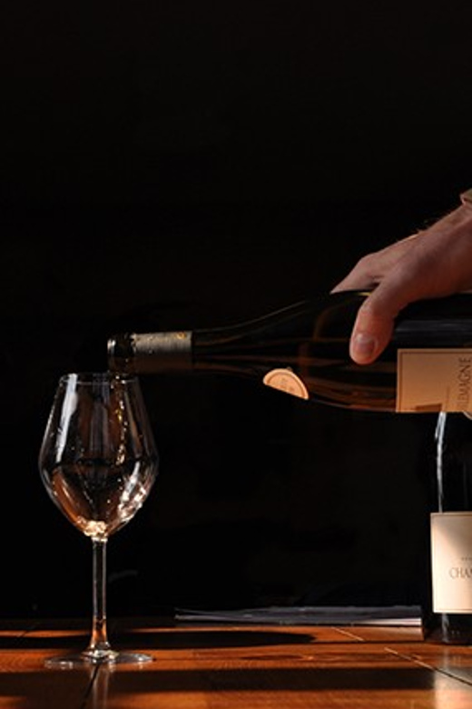 Burgundy Vineyards: Luxury Private Tours - Who this tour suits best