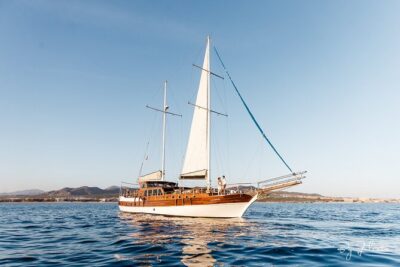 Cabo San Lucas Luxury Sailing Yacht and Dinner with a Chef - Premium Open Bar and Chef Timing: How the Night Flows