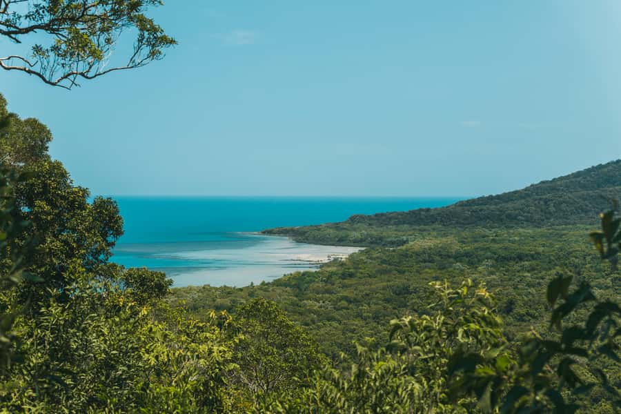 Cairns: Cape Tribulation & Daintree Rainforest Premium Tour - Mossman Gorge: the cool-water reset that makes the day feel worth it