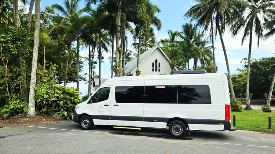 Cairns: Cape Tribulation & Daintree Rainforest Premium Tour - Daintree Rainforest botanical walk: why this isn’t just a photo stop