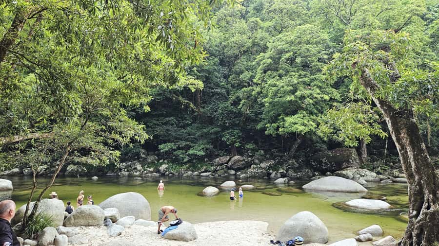 Cairns: Cape Tribulation & Daintree Rainforest Premium Tour - Cape Tribulation: reef meets rainforest, plus that lookout photo you’ll want