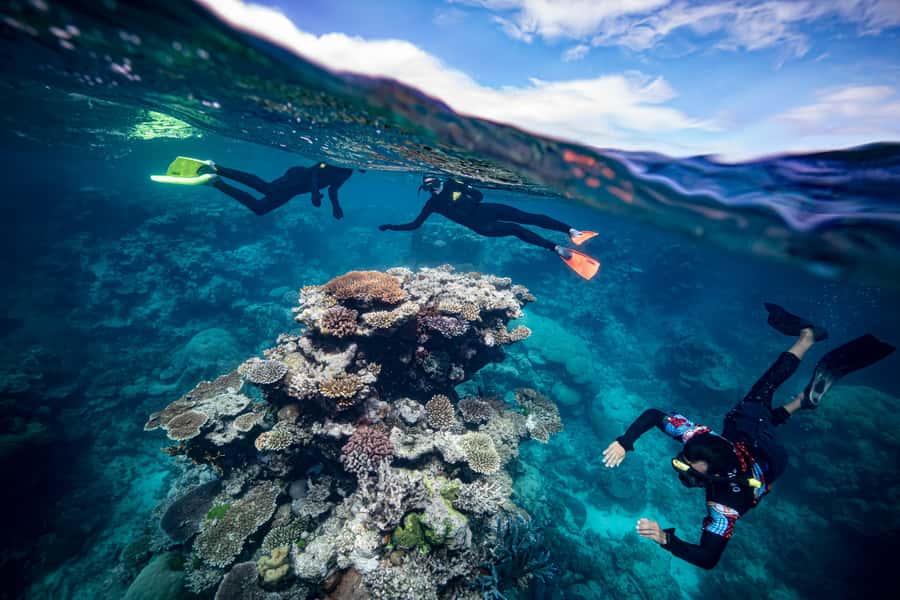 Cairns: Great Barrier Reef Premium Diving Full Day Tour - Safety, Sea Conditions, and What to Do If You Feel Unsteady