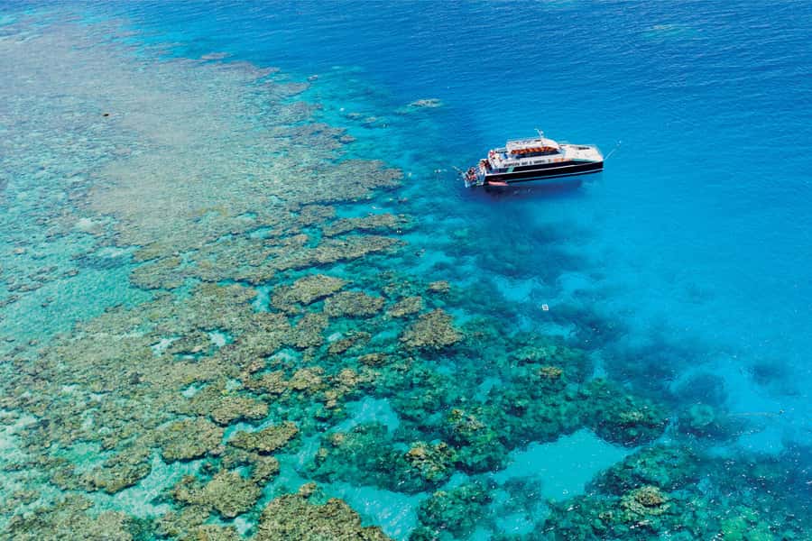 Cairns: Great Barrier Reef Premium Diving Full Day Tour - Meeting at Cairns Marlin Marina: Why Location Matters