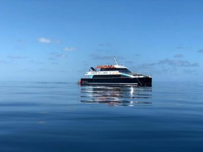 Cairns: Great Barrier Reef Premium Diving Full Day Tour - The Boat Ride and the Culture Lessons on the Way Out