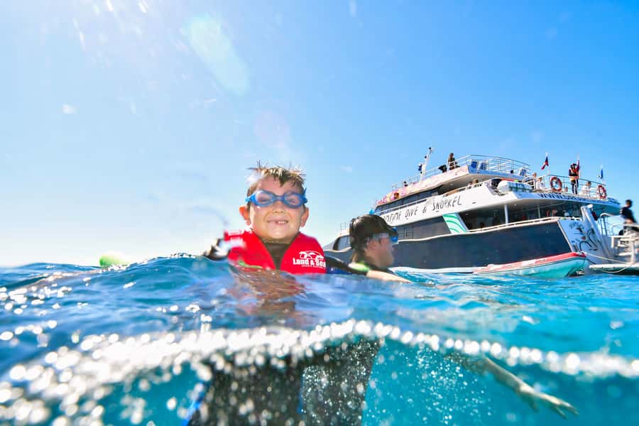 Cairns: Great Barrier Reef Premium Diving Full Day Tour - Price and Value: Is $127 Worth It?