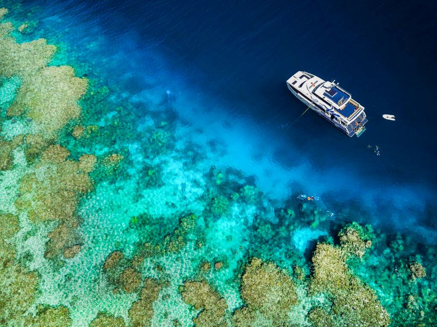 Cairns: Premium Snorkelling and Diving Reef Day Trip - Safety and reef etiquette: how the crew helps you feel confident