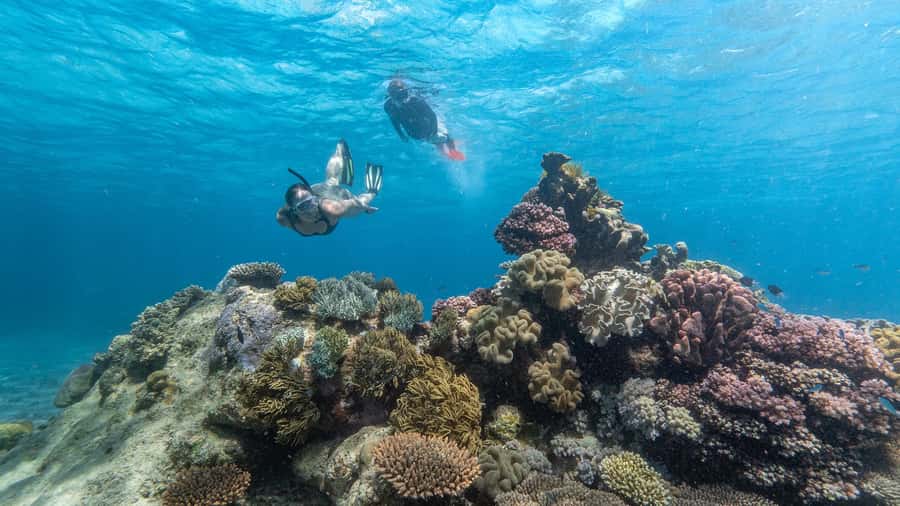 Cairns: Premium Snorkelling and Diving Reef Day Trip - The value of two outer reef stops from Cairns